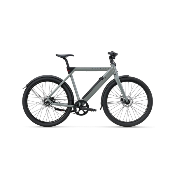 Raleigh Raleigh One E-bike Sade Grey 58cm 2025